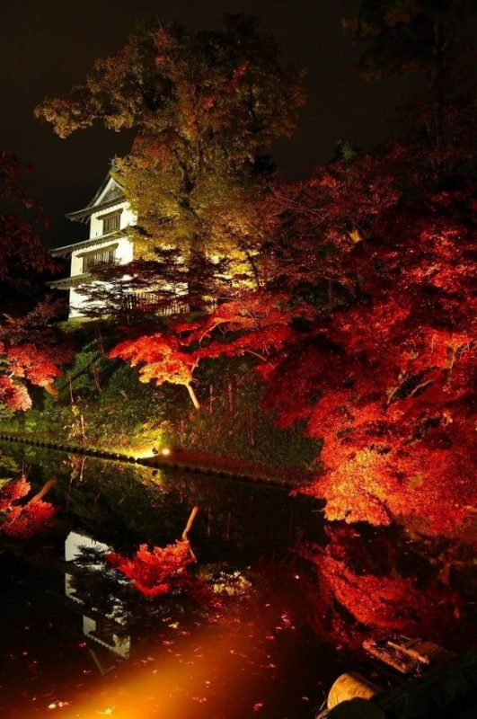 弘前城菊と紅葉まつりの画像