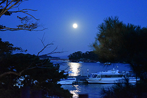 月の松島 in 観瀾亭の画像
