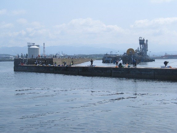 turi.4.jpg