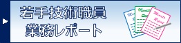 report.banner.jpg