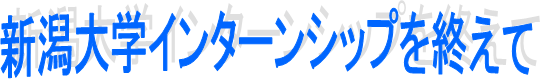 新潟大学インターンシップを終えて