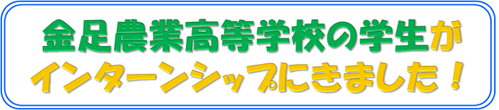 金足農業高等学校の学生がインターンシップにきました！