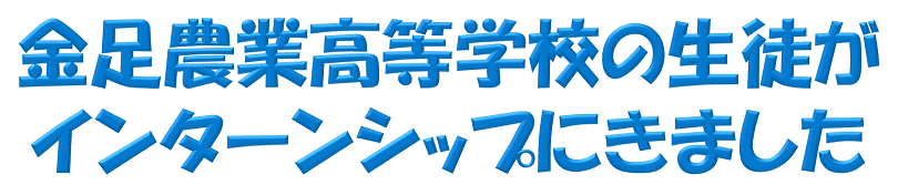 kananoint20160817-title
