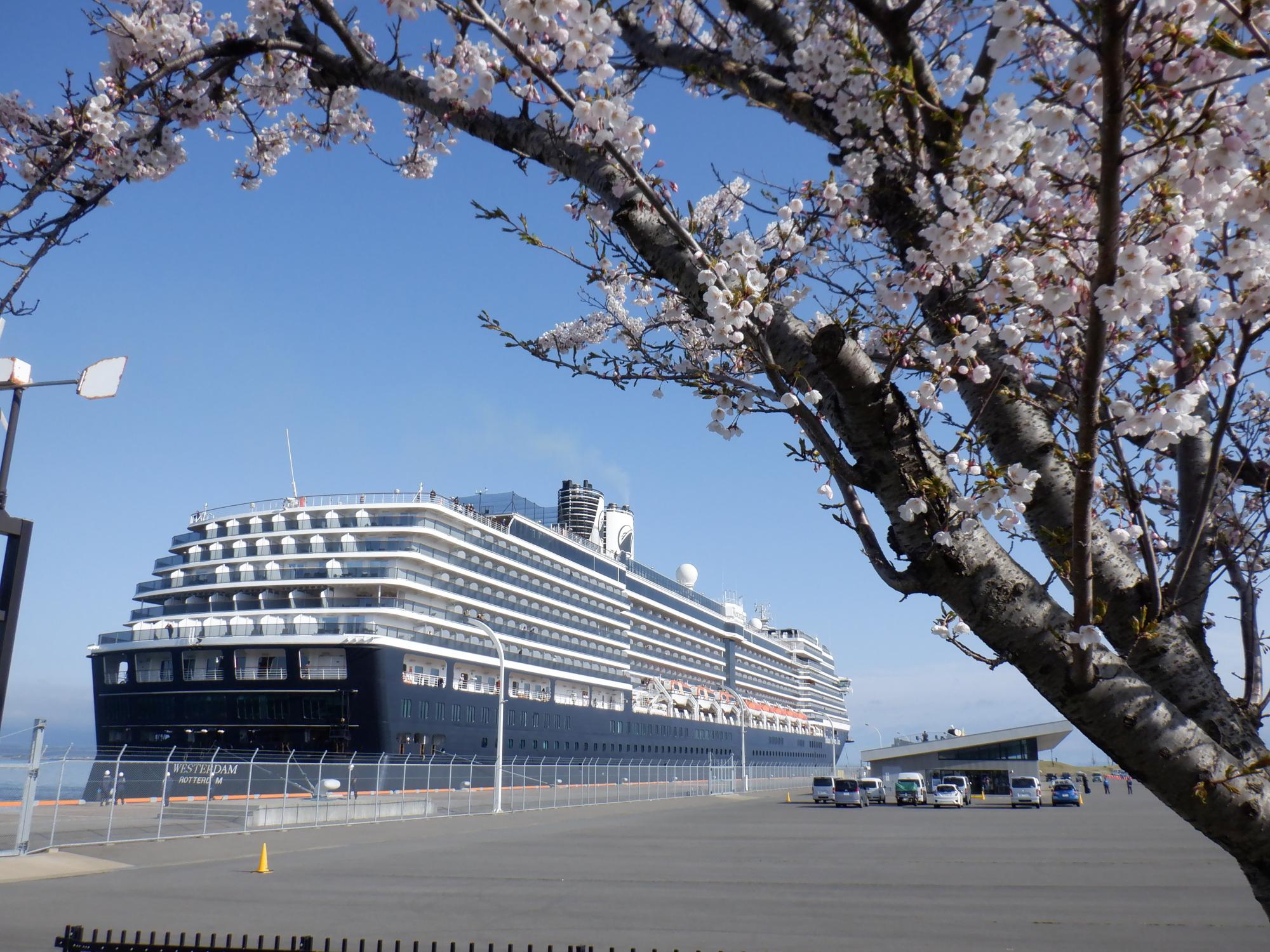 20240423Westerdam.JPG
