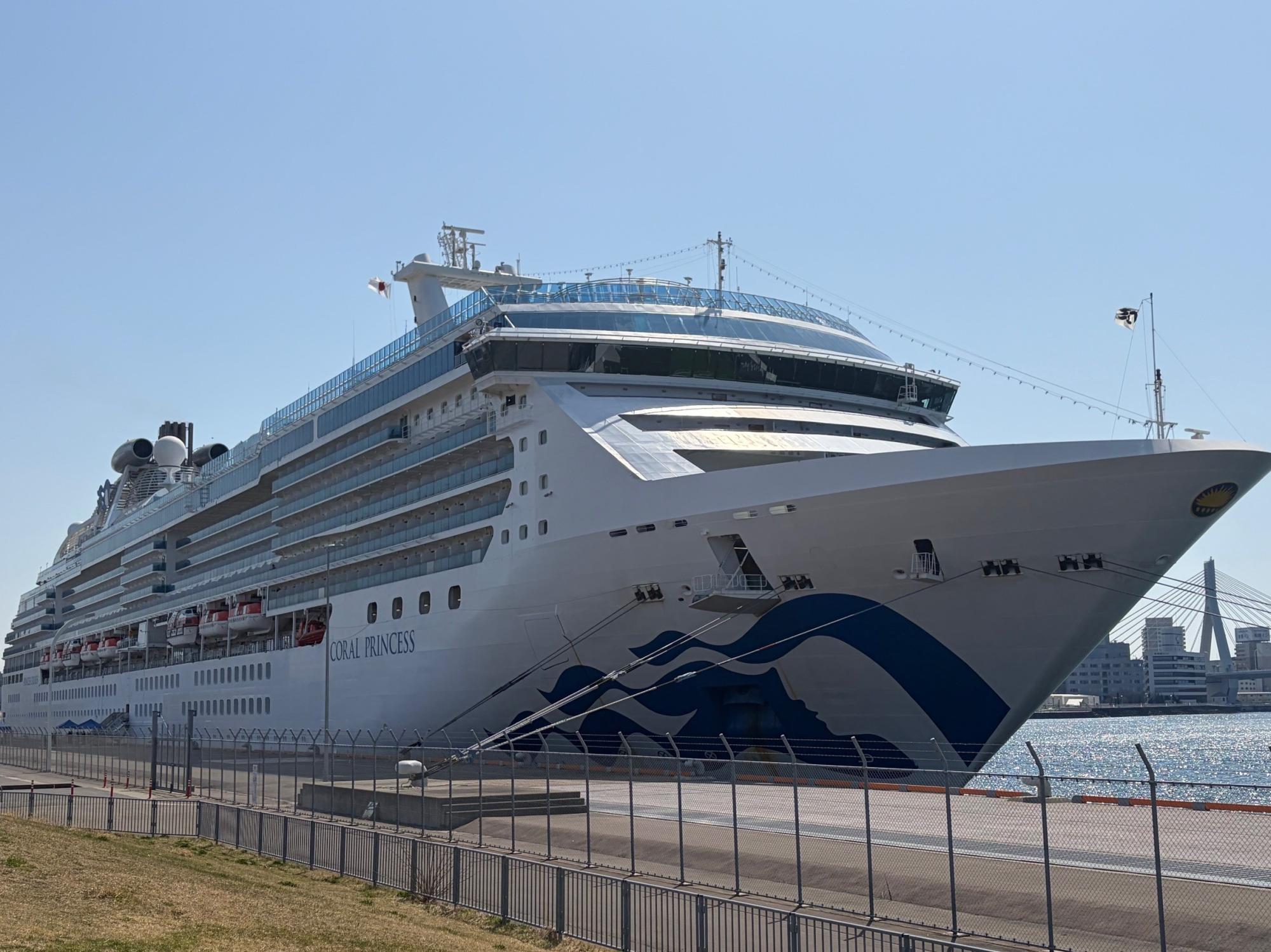 20260419_coralprincess1.jpg