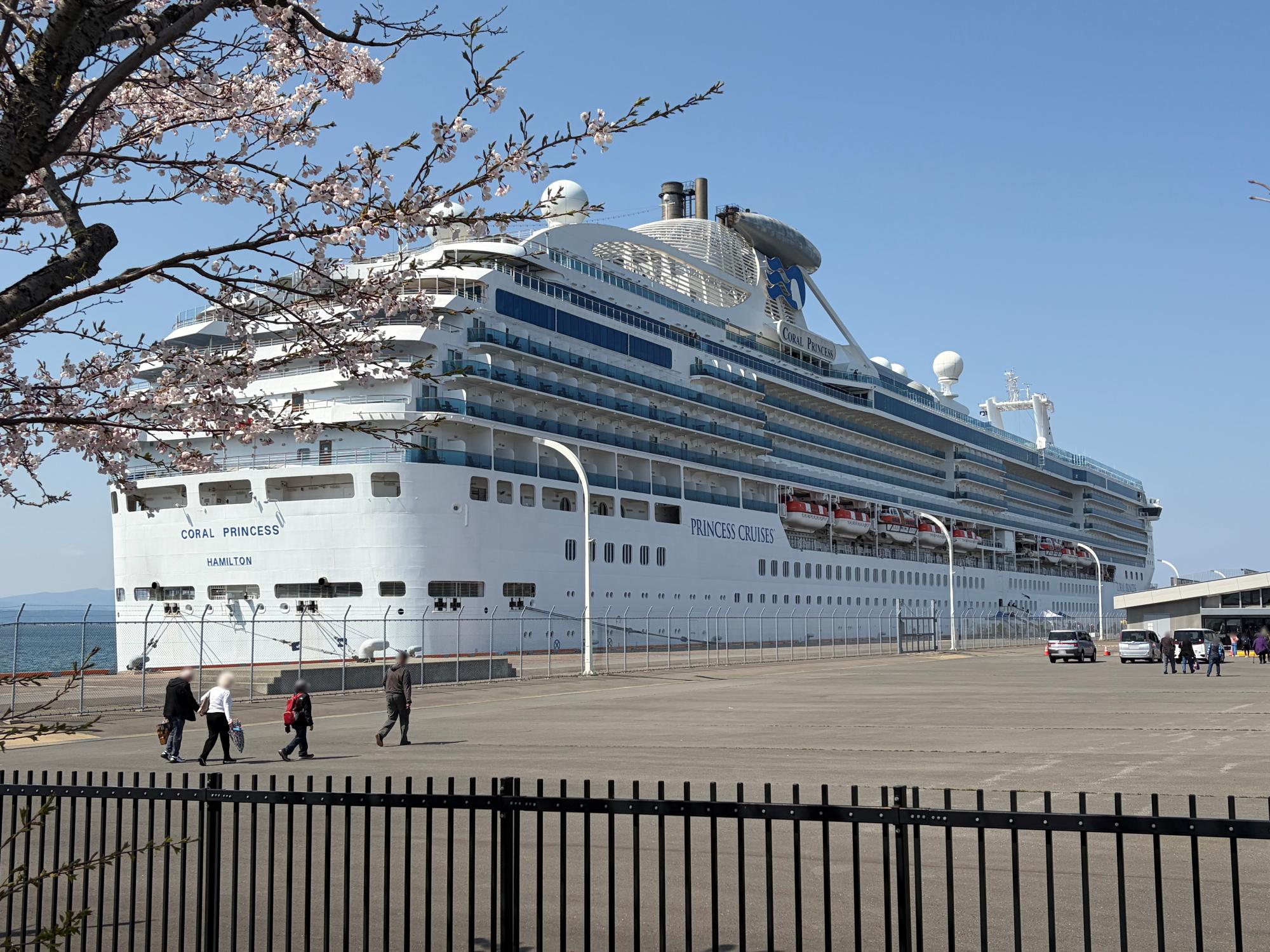 20260419_coralprincess2.jpeg