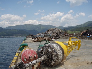 永浜地区岸壁(-13m)に仮置きされた流出物