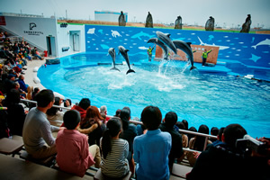 写真：仙台うみの杜水族館