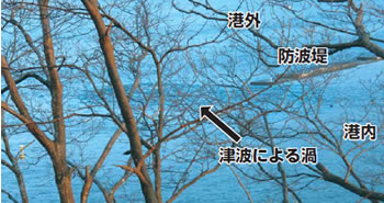  防波堤先端渦の例