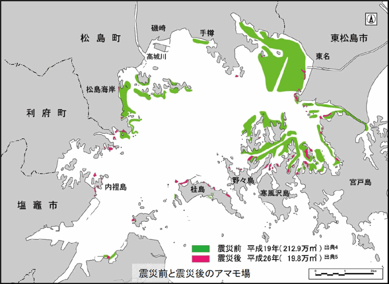 震災前と震災後のアマモ場の図