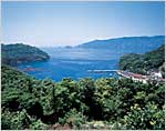 石巻市月浦の画像