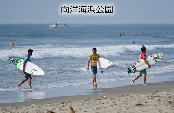向洋海浜公園