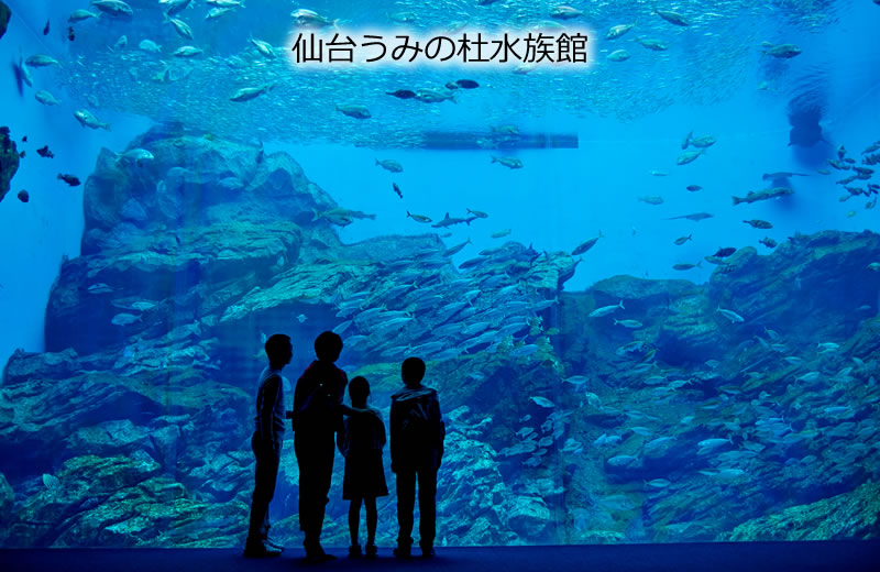 仙台うみの杜水族館