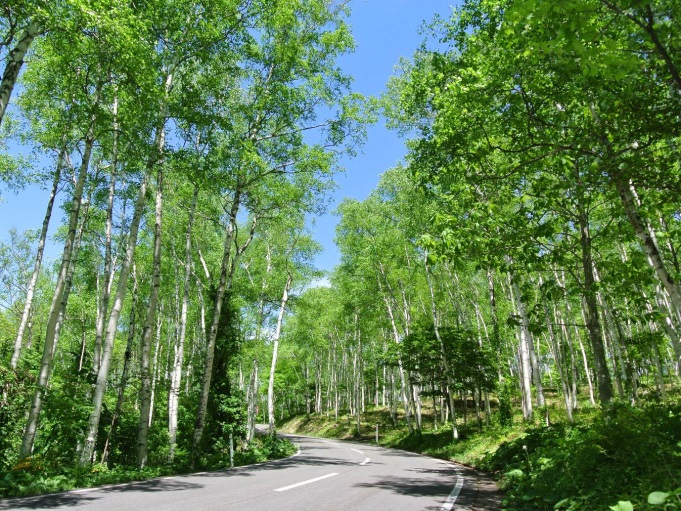 平庭高原