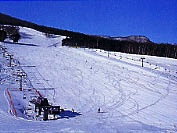 平庭高原スキー場