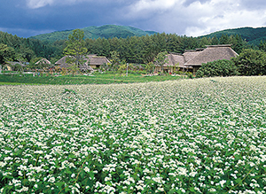 遠野ふるさと村