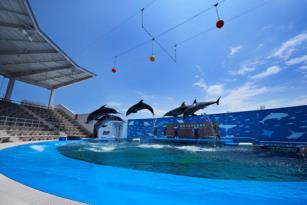 仙台うみの杜水族館