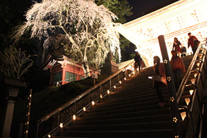 しおがまさま神々の花灯りの画像