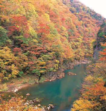 能代周辺地域