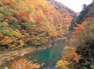 Dakigaeri Autumn Foliage Festival