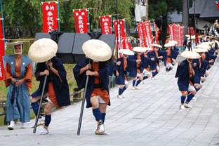 Sinjo Festival