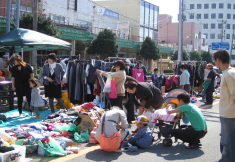 Sakata donshammatsuri