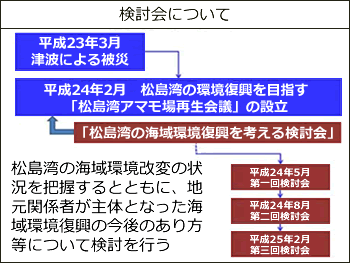 検討会について